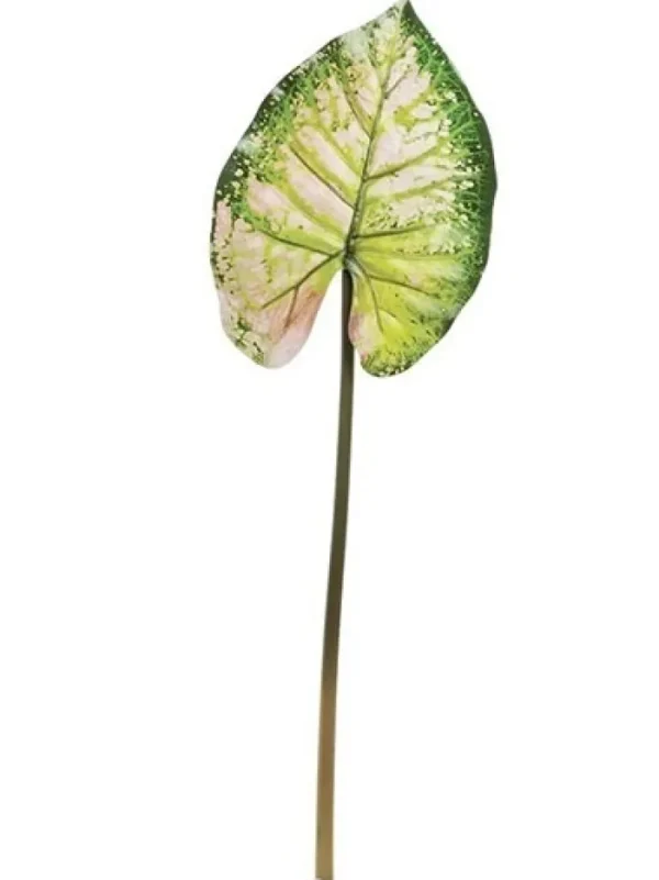 Aldik Home Tropical Plants & Flowers<Wild Caladium Leaf 36.5 in. Green / Mauve