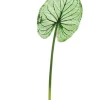 Aldik Home Tropical Plants & Flowers<Wild Caladium Leaf 36.5 in. Green