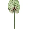 Aldik Home Tropical Plants & Flowers<Wild Caladium Leaf 47 in. Green