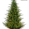 Aldik Home Pre Lit Christmas Trees | Tall Christmas Trees<Williamsburg Fraser LED 9 FT