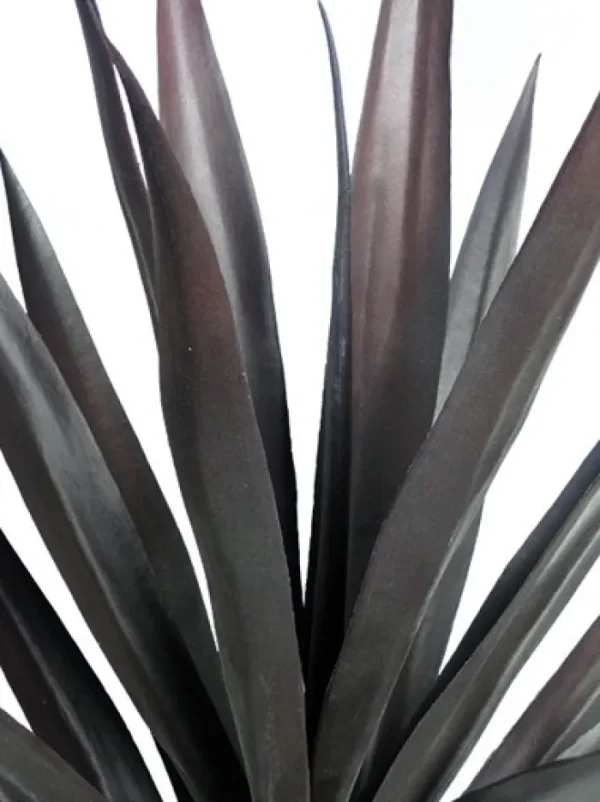 Aldik Home Yucca Plants<Yucca 27 in. Burgundy