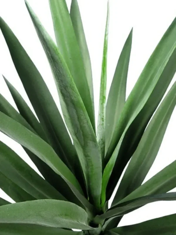 Aldik Home Yucca Plants<Yucca 27 in. Green