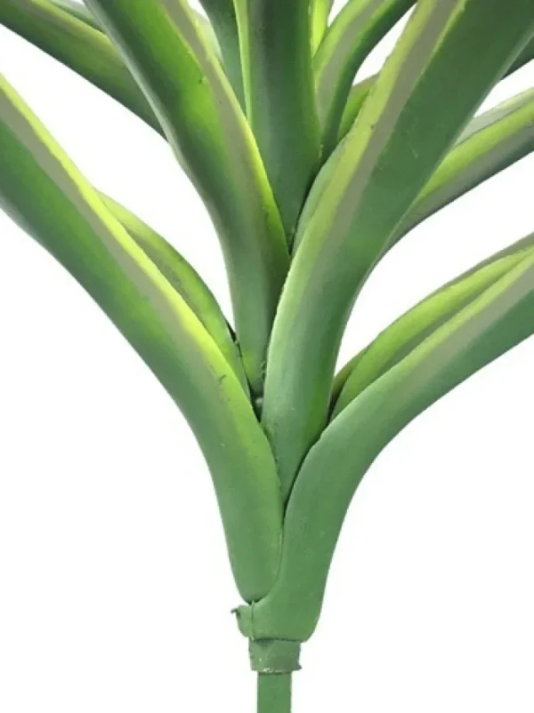 Aldik Home Yucca Plants<Yucca 27 in. Variegated Green