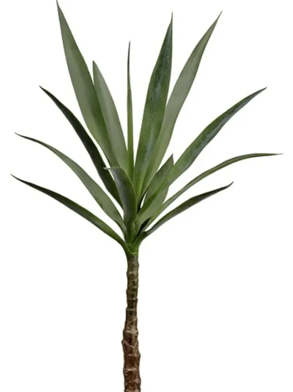 Aldik Home Yucca Plants<Yucca Plant 33 in. Green